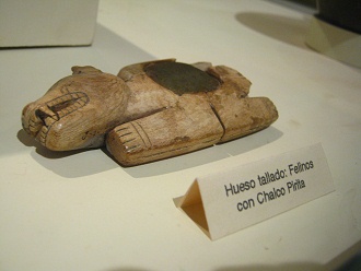 Knochen in Form eines braunen Raubtiers