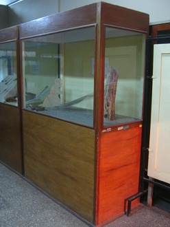 Vitrine mit einem Taillen-Webstuhl