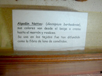 Der Text zur Baumwolle: Baumwolle der
                      Ureinwohner (Gossipium barbadense), mit Farben,
                      die von Beige oder Cremefarbe bis ins Braun und
                      rosa reichen. Der Gebrauch bei den Stoffen war so
                      verbreitet wie die Wollfaser der Kameltiere.