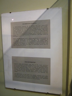 Der Text �ber die Langsch�del in der
                          Paracaskultur auf Spanisch und Englisch