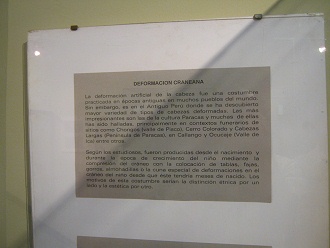 Der Text �ber die Langsch�del in der
                          Paracaskultur auf Spanisch