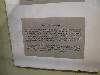 Der Text �ber die Langsch�del in der
                          Paracaskultur auf Englisch