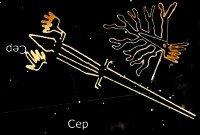 Nasca, das Linienbild der Echse Nasca, das Linienbild der Echse