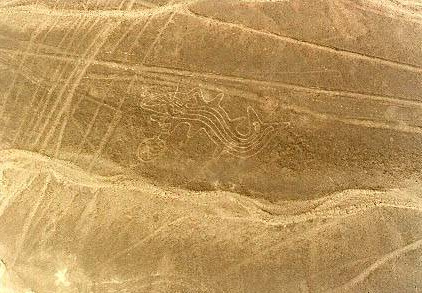 Der Killerwal, wie er auf dem
                            Linienbild der Nasca-W�ste zu sehen ist