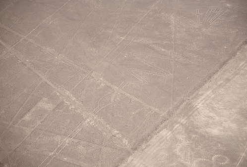 Nasca, Linienbild des
                    Fischreihers (Flamingo, Aronstab)
