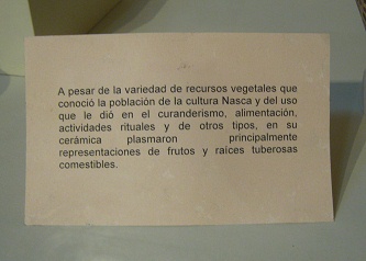 Text zur Nasca-Keramik