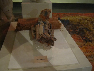 Ara (guacamayo) aus Federn,
                              Chincha-Kultur