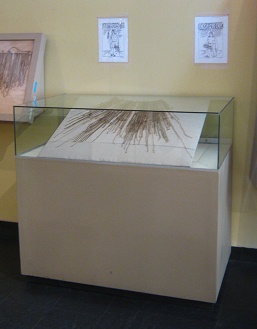 Zweite Vitrine mit Rechenschn�ren der
                              Inka-Kultur