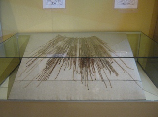 Zweite Vitrine mit Rechenschn�ren der
                              Inka-Kultur, Nahaufnahme