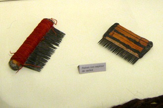 K�mme aus Kaktusstacheln