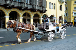 Carro a caballo en Lima