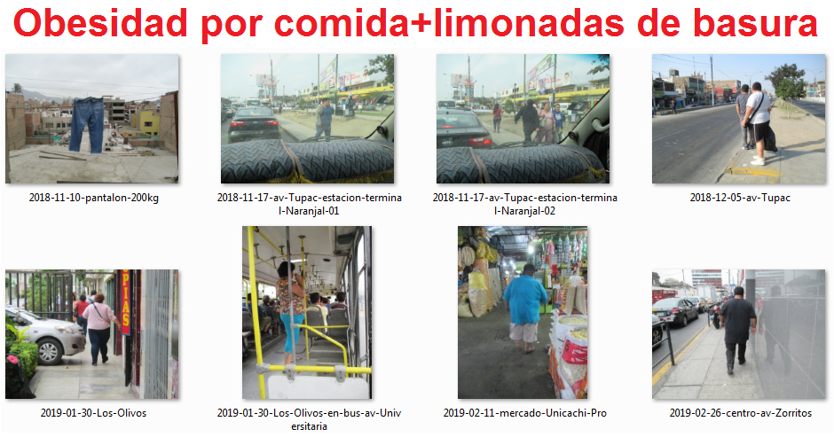 Obesidad
                    en el Per�, ejemplos