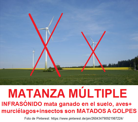 Molinos e�licos grandes en
                              campos provocan la MATANZA M�LTIPLE con
                              ganado, aves, murci�lagos e insectos:
                              INFRAS�NIDO mata ganado en el suelo,
                              aves+murci�lagos+insectos son MATADOS A
                              GOLPES