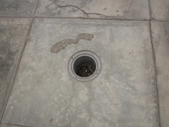 El hueco en el piso del parque central,
                        vista 01