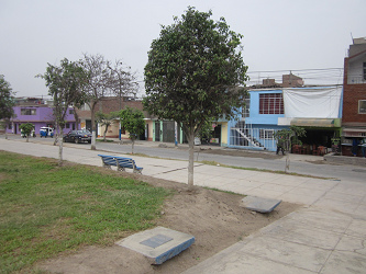 Parque central de Comas casi sin hierba 01