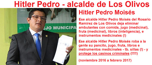 Hitler Pedro: Ese alcalde Hitler
                                  Pedro Mois�s del Rosario Ram�rez de
                                  Los Olivos deja eliminar ambulantes
                                  con comida, jugo (medicinal), fruta
                                  (medicinal), libros (inteligencia), e
                                  instrumentos medicinales (!). Ese
                                  alcalde Hitler Pedro Mois�s roba a la
                                  gente su pancito, jugo, fruta, libros
                                  e instrumentos medicinales - tb.
                                  sillas (!) - y protege los casinos
                                  criminales (!!!!!)
