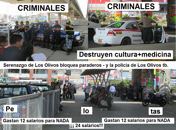 Cruce avenida Izaguirre con
                            Panamericana, ocupaci�n 03