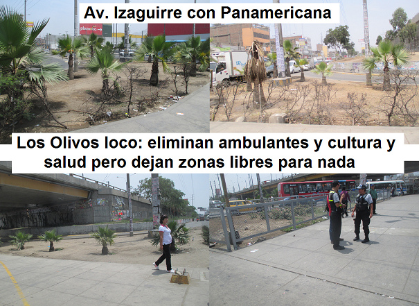 Zonas libres en el cruce Izaguirre con
                            Panamericana 01