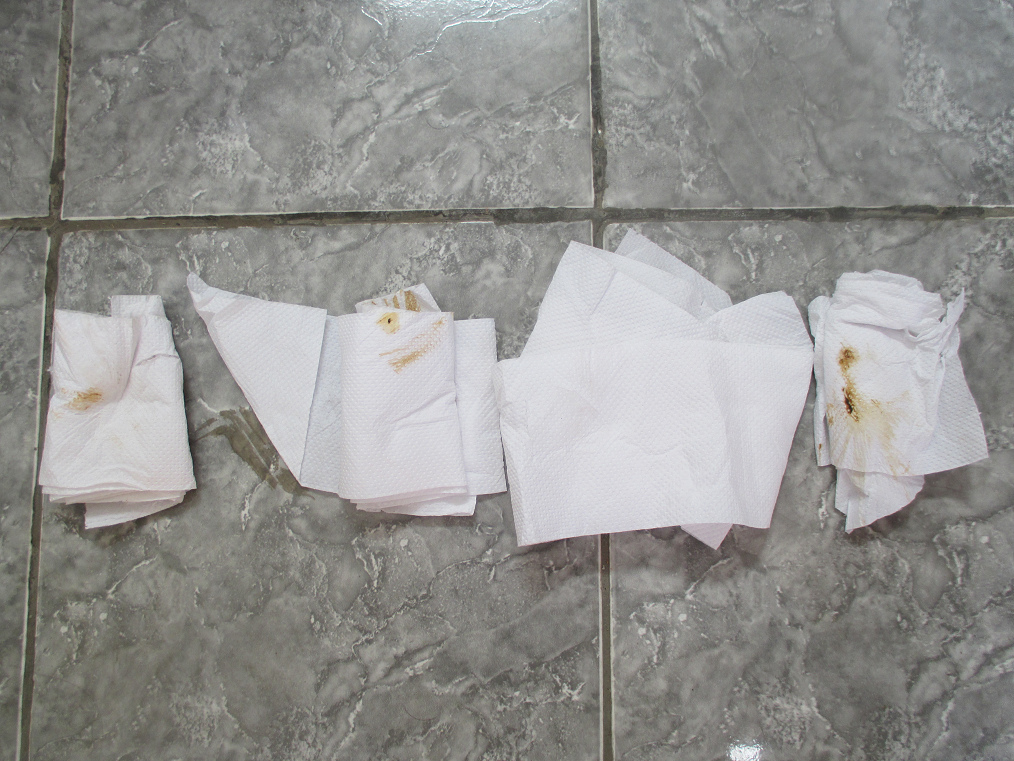 Los
                                  papelitos con la caca del intruso
                                  animal cat�lico, un vecino animal