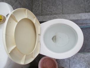 La tasa bloqueada por el
                                    intruso vecino animal cat�lico con
                                    tejidos flotantes