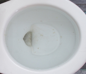 La tasa bloqueada por el
                                    intruso vecino animal cat�lico con
                                    tejidos flotantes, zoom 01