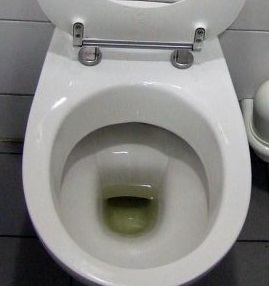 Taza del
                                  ba�o en Europa en D�sseldorf con hueco
                                  grande y tubo grande donde no bloquea
                                  jam�s nada