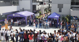 Instituto San Pablo, patio con campañas Instituto San Pablo, patio con
campañas