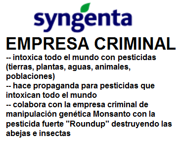 El escudo de la
empresa criminal de Syngenta en
la Suiza criminal El escudo de la empresa
criminal de Syngenta en la Suiza
criminal