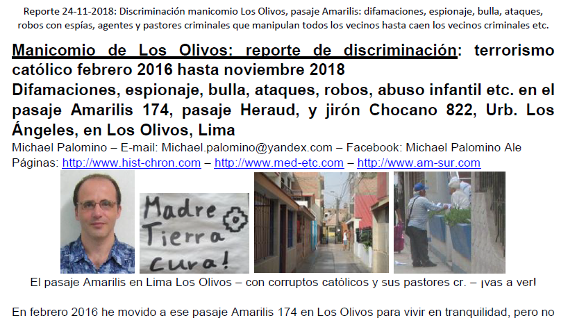 T�tulo del reporte del 24-11-2018 sobre
                          elmanicomio de Los Olivos en el pasaje
                          Amarilis febrero 2016 hasta noviembre 2018