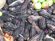 Ma�z negro, primer plano