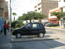 Avenida Urtuaga, �rbol que da mucha sombra