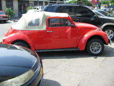 Avenida Urtuaga: VW sapo