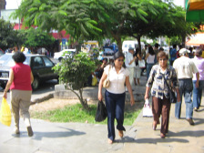 Avenida Urtuaga, arboles que dan mucha
                        sombre