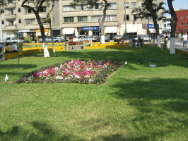 Jes�s Mar�a, parque central, campo de
                        flores con palomas 01