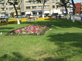 Jes�s Mar�a, parque central, campo de
                        flores con palomas 02