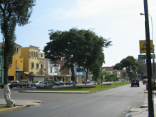 Jes�s
                        Mar�a: Avenida Cuba, forma de �rbol