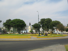 Parque Caceres, figuras de �rboles