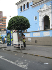 Llegada por el distrito de Bre�a, avenida
                      Ugarte, tienda de calle con �rbol
