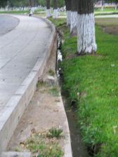 Jes�s Mar�a, parque "Campo de
                      Marte", cuneta con agua 01