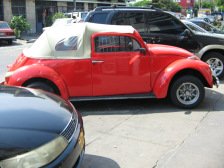 Avenida
Urtuaga: VW-Käfer, span. "sapo"
(Kröte) Avenida Urtuaga: VW-Käfer, span.
"sapo" (Kröte)