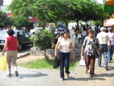 Avenida Urtuaga, Schattenbäume Avenida Urtuaga, Schattenbäume