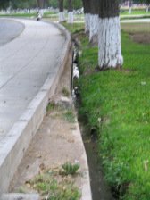 Jesus Maria, Park "Campo de
                          Marte", Wassergraben mit Wasser 01
