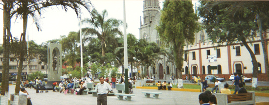 Parque central, vista interna con monumento
                        de familia