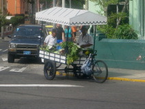 Miraflores: Verdurer�a al cruce Porta /
                        Manco Capac, primer plano