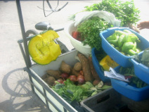 Miraflores: Verdurera al cruce Porta /
                        Manco Capac, verduras