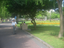 Miraflores, Kennedy-Park, Blumenrabatten,
                          Sicht von Ost nach West