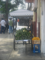 Miraflores, Avenida Palma, puesto de palta
