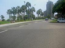 Miraflores, Malec�n Cisneros: Vista al
                        jard�n de palmeras y a rascacielos