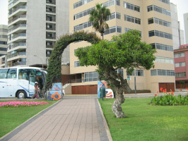 Miraflores, parque de los enamorados, arco
                        con �rbol