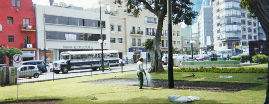 vergr�ssernEl Parque Kennedy recibe con la
                        irrigaci�n el agua que la gente en los distritos
                        laterales de Lima no recibe... 01